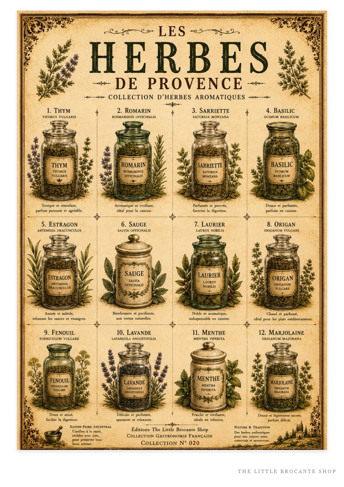 Les Herbes de Provence | Vintage French Herb Collection | Botanical Kitchen Wall Art, French country wall artwork. – image 1