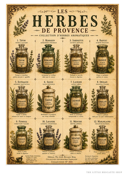 Les Herbes de Provence | Vintage French Herb Collection | Botanical Kitchen Wall Art, French country wall artwork. – image 1