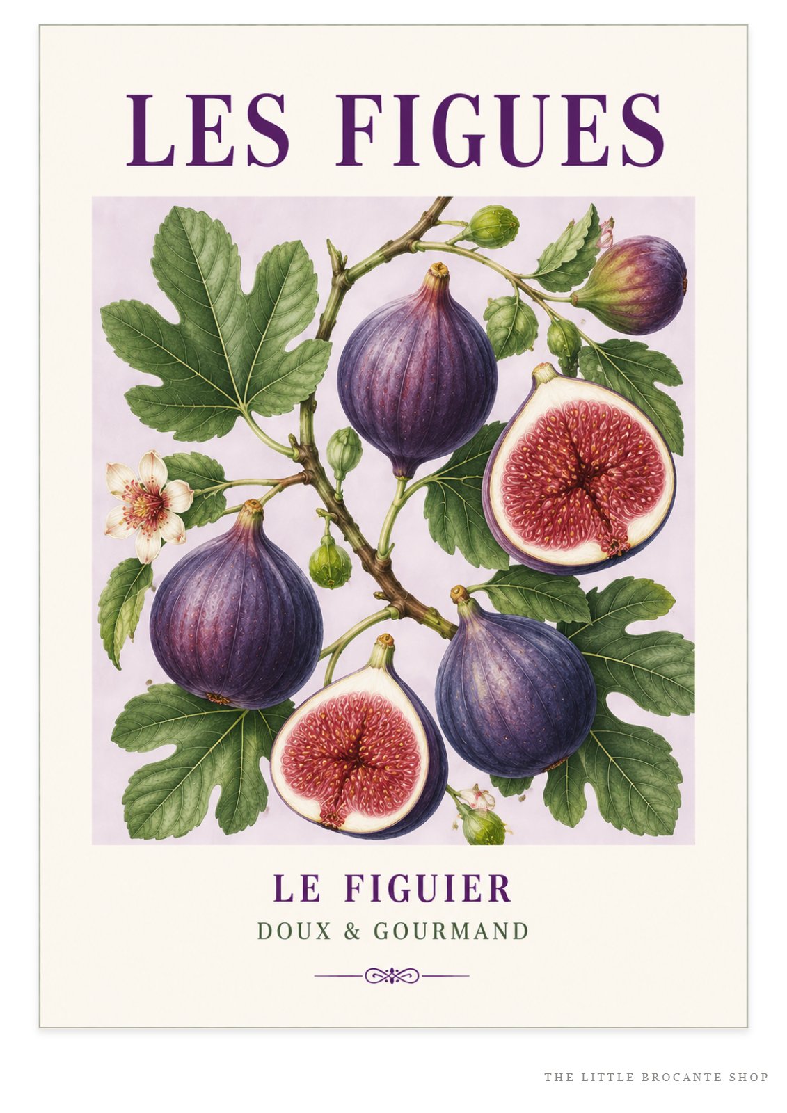 Les Figues – Illustrated French Fig Print | French Kitchen Wall Art, Illustrated French, Botanical, French Country, Mediterranean, Provençal, Fruit Illustration, Country Kitchen, Cottage Style wall artwork.