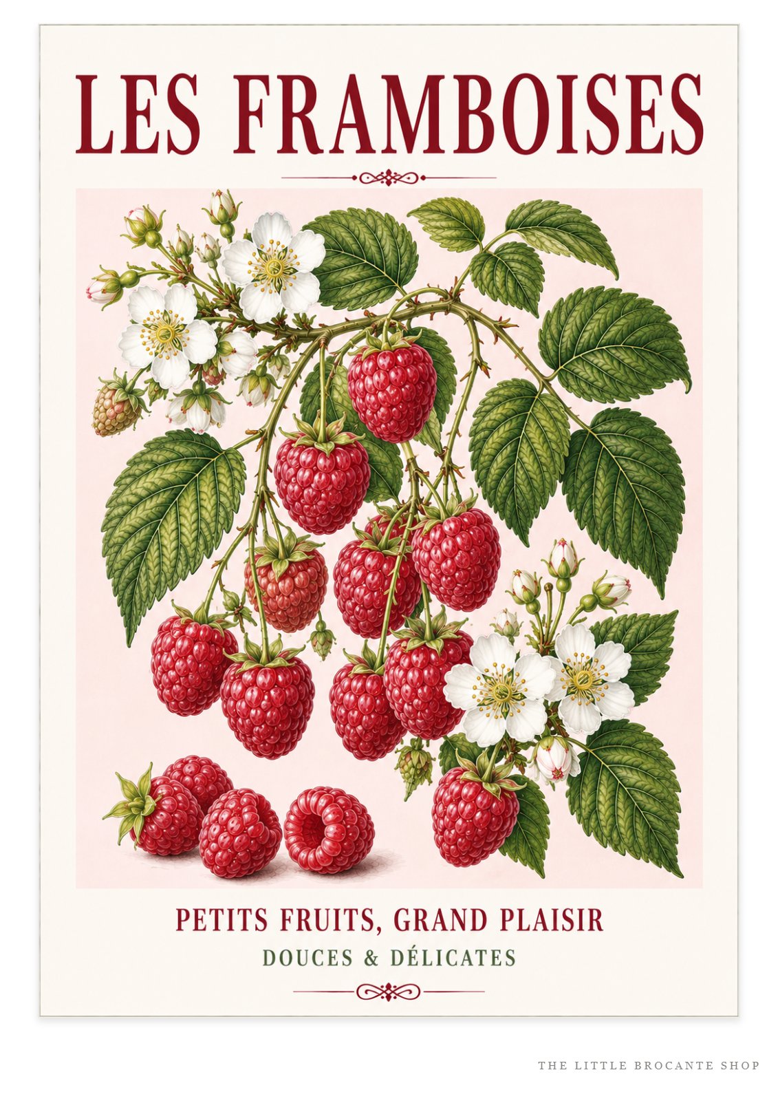 Les Framboises – Illustrated French Raspberry Print | French Kitchen Wall Art, Illustrated French, Botanical, French Country, Fruit Illustration, Kitchen Garden, Country Kitchen, Cottage Style, French Inspired wall artwork.