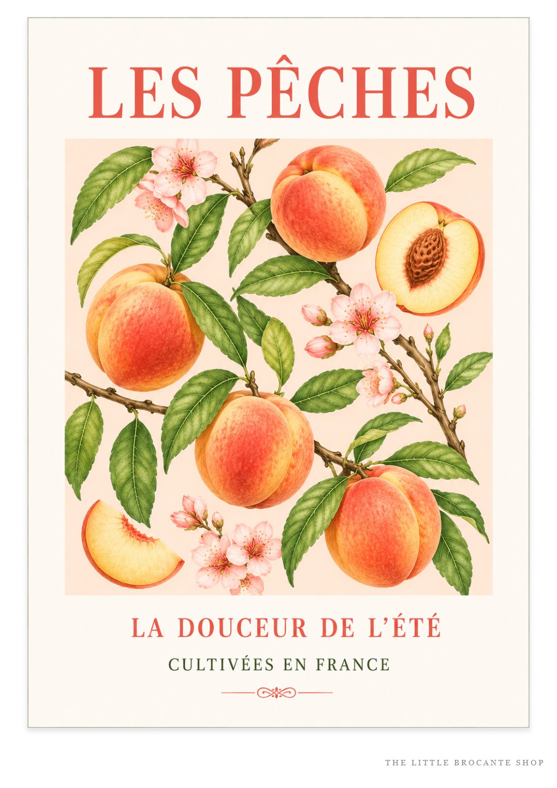 Les Pêches – Illustrated French Peach Print | French Kitchen Wall Art, Illustrated French, Botanical, French Country, Fruit Illustration, Orchard Inspired, Country Kitchen, Cottage Style, Provence Inspired wall artwork.