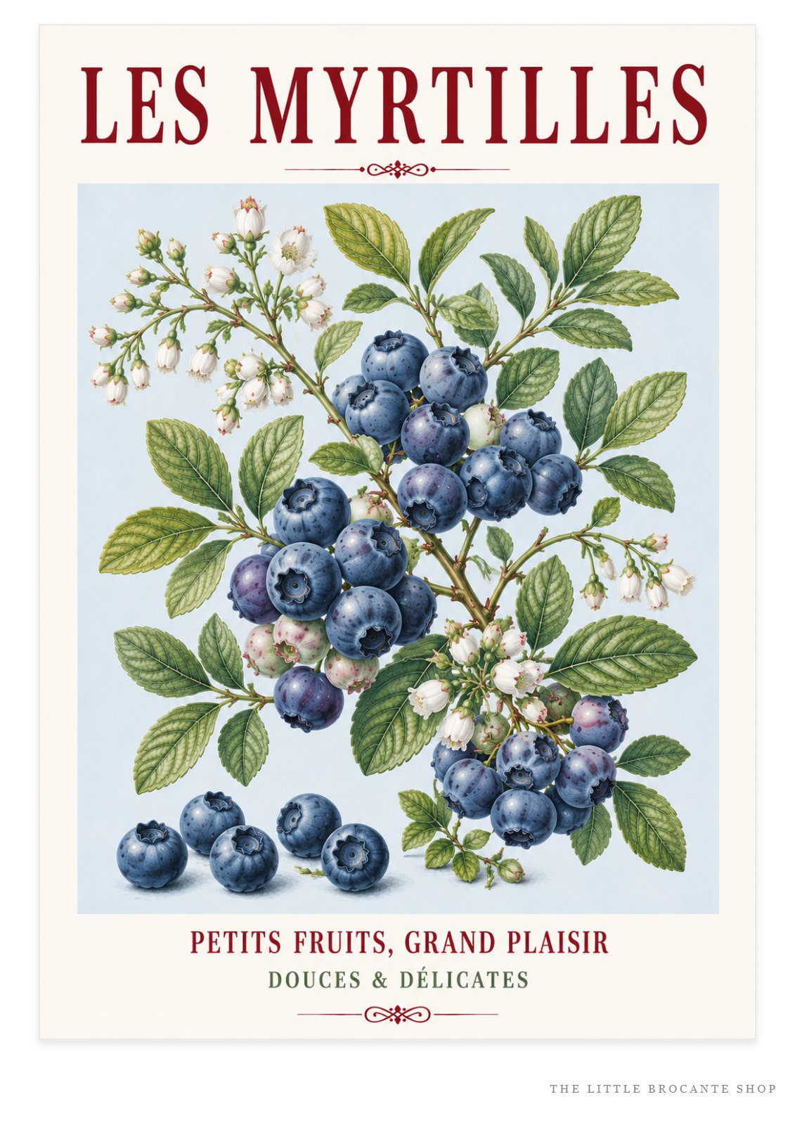 French Blueberry Print - Les Myrtilles | French Kitchen Wall Art, Illustrated French, Botanical, French Country, Fruit Illustration, Country Kitchen, French Countryside, Cottage Style, Botanical Wall Art wall artwork.