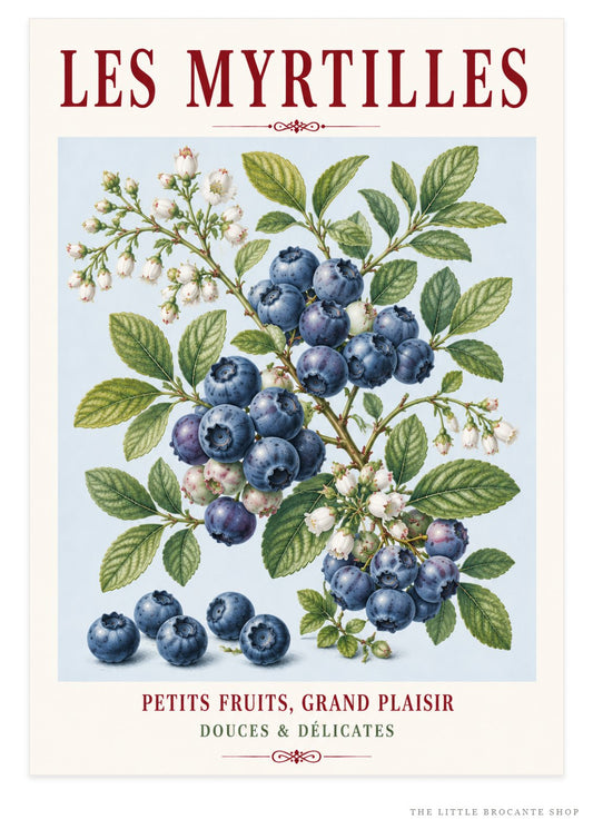 French Blueberry Print - Les Myrtilles | French Kitchen Wall Art, Illustrated French, Botanical, French Country, Fruit Illustration, Country Kitchen, French Countryside, Cottage Style, Botanical Wall Art wall artwork.