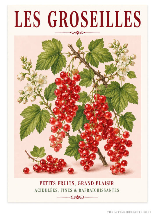 Illustrated French Redcurrant Print | French Kitchen Wall Art, Illustrated French, Botanical, French Country, Berry Illustration, Fruit Illustration, Country Kitchen, French Countryside, Cottage Style, Botanical Wall Art wall artwork.