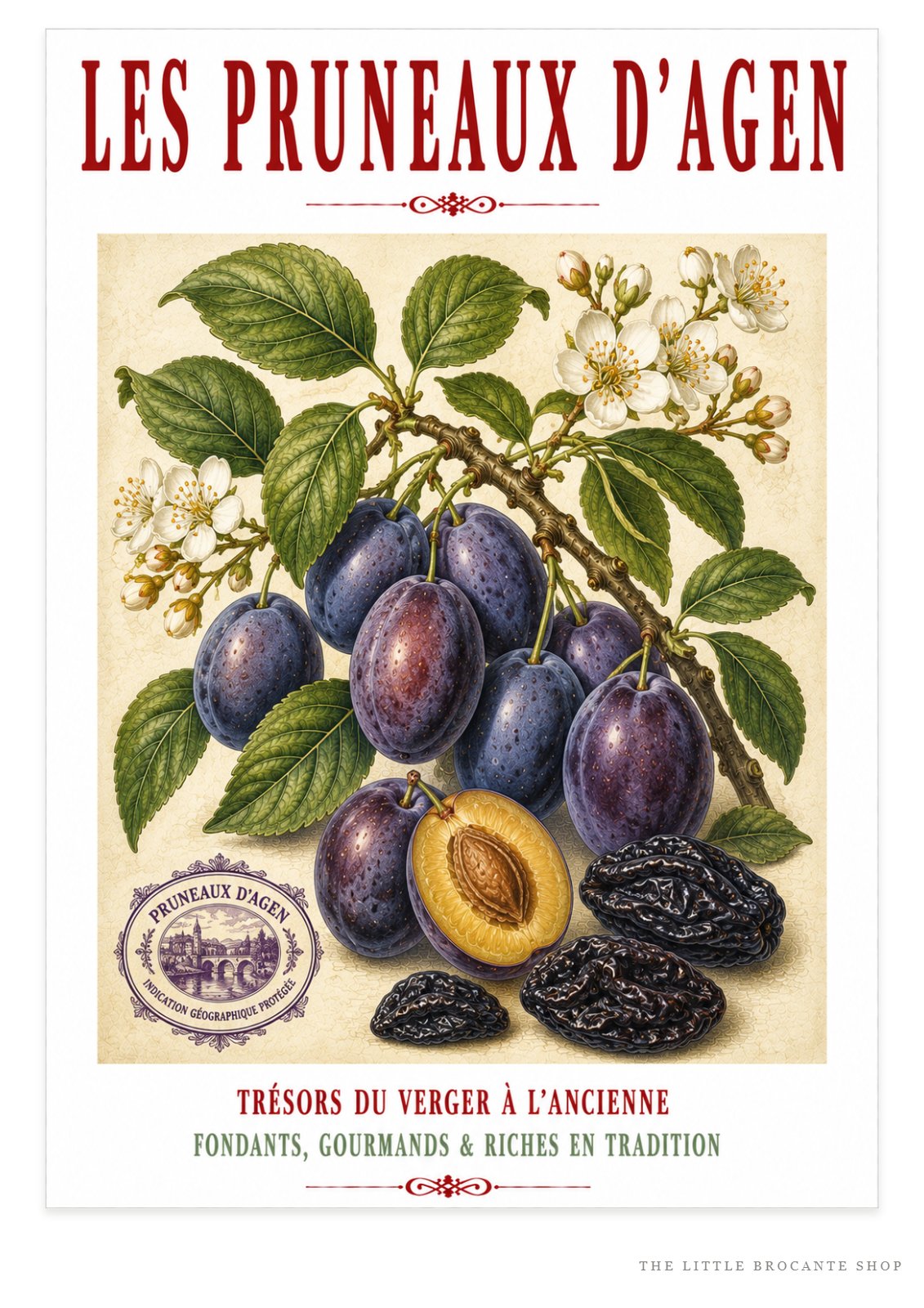 Les Pruneaux d’Agen – Illustrated French Agen Prune Print | French Kitchen Wall Art, Illustrated French, Botanical, French Country, Traditional French, Orchard Style, Pomological Illustration, French Kitchen, Country Kitchen, Regional French Food Art wall artwork.