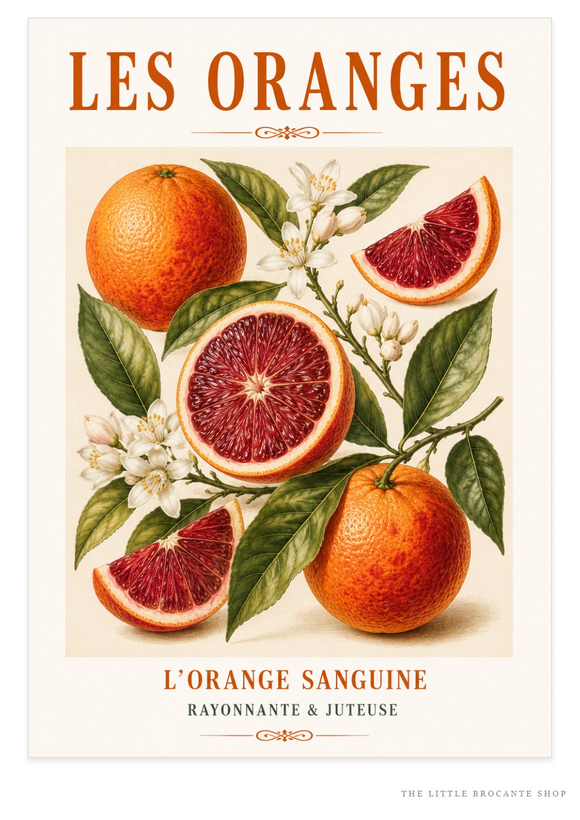 L’Orange Sanguine – Illustrated French Blood Orange Print | French Kitchen Wall Art, Illustrated French, Botanical, French Country, Mediterranean, Country Kitchen, Fruit Illustration, European Kitchen wall artwork.