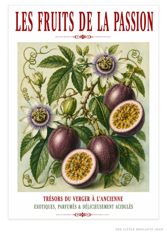 Illustrated French Passion Fruit Print | French Kitchen Wall Art, Illustrated French, Botanical, French Country, Exotic Botanical, French Kitchen, Traditional Botanical Illustration, Country Kitchen, Cottage Style, Botanical Wall Art wall artwork.