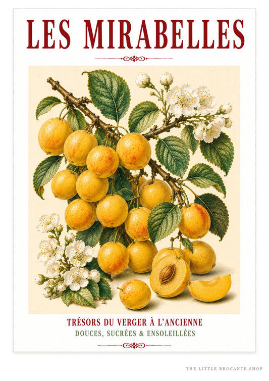 Illustrated French Mirabelle Plum Print | French Kitchen Wall Art, Illustrated French, Botanical, French Country, Fruit Illustration, Orchard Art, French Kitchen, Country Kitchen, French Provincial, Botanical Wall Art wall artwork.