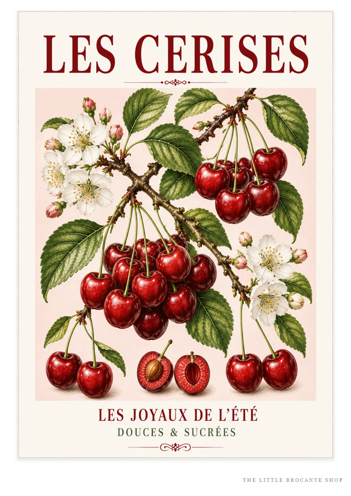 Les Cerises – Illustrated French Cherry Print | French Kitchen Wall Art, Illustrated French, Botanical, French Country, Country Kitchen, Fruit Illustration, European Kitchen, Cottage Style wall artwork.