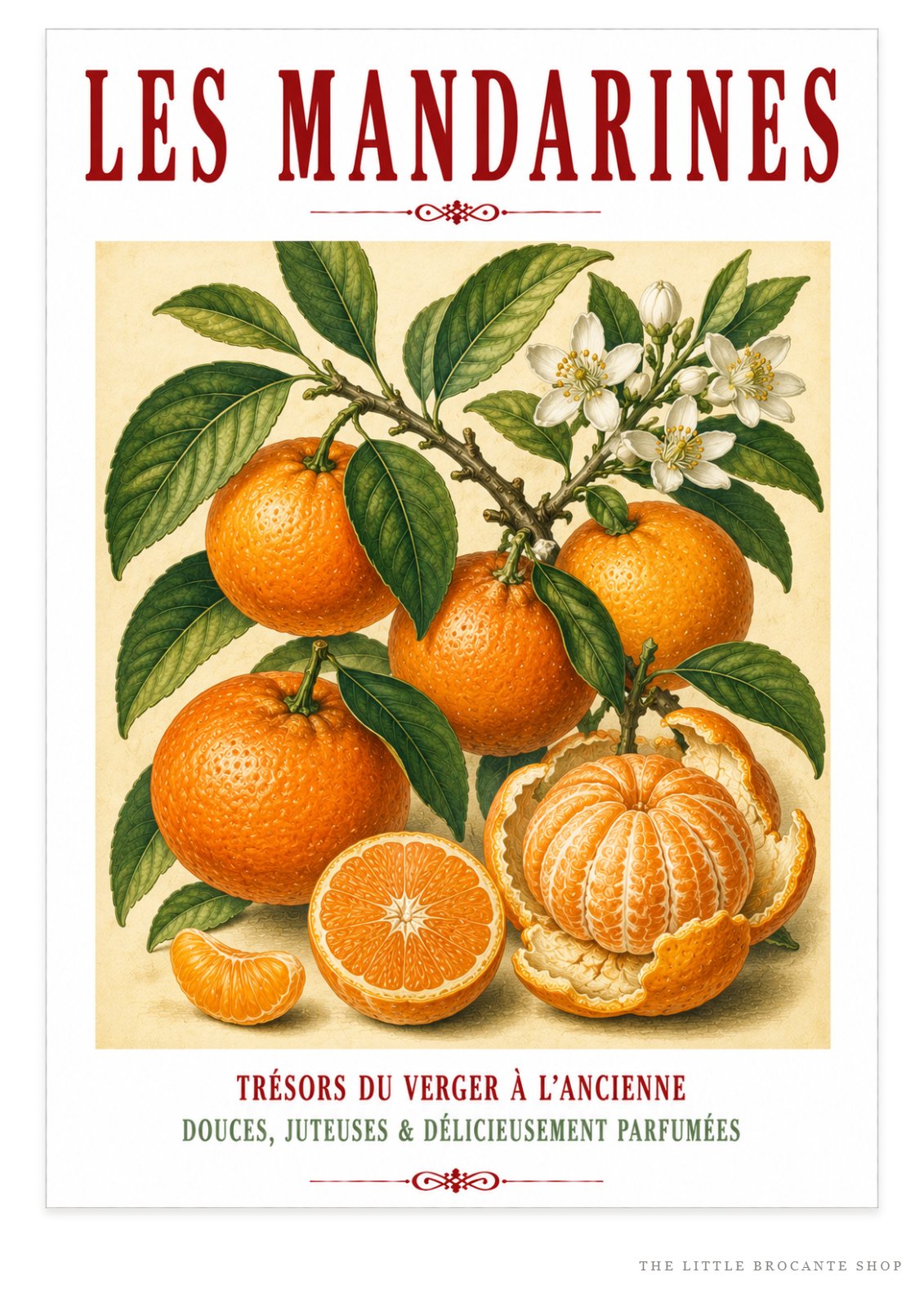 Illustrated French Mandarin Print | French Kitchen Wall Art, Illustrated French, Botanical, French Country, Mediterranean, Citrus Illustration, French Kitchen, Country Kitchen, Cottage Style, Botanical Wall Art wall artwork.
