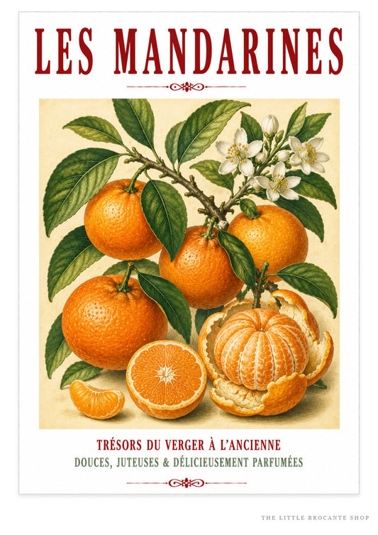 Illustrated French Mandarin Print | French Kitchen Wall Art, Illustrated French, Botanical, French Country, Mediterranean, Citrus Illustration, French Kitchen, Country Kitchen, Cottage Style, Botanical Wall Art wall artwork.