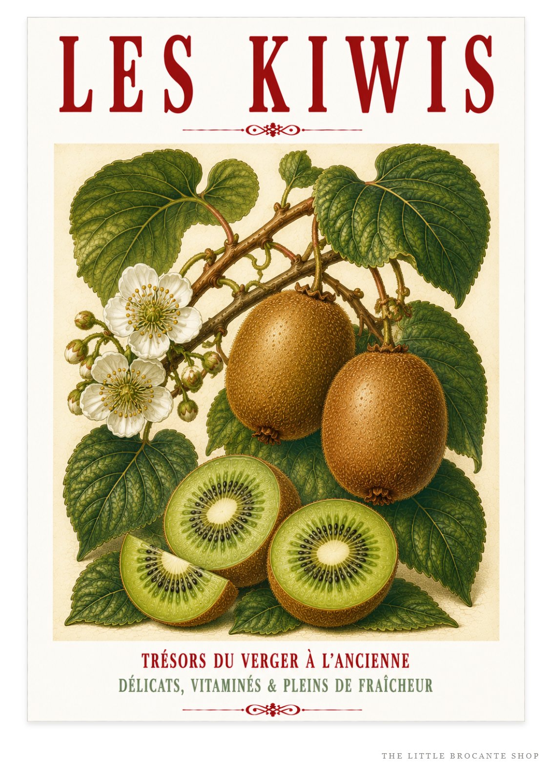 Illustrated French Kiwi Fruit Print | French Kitchen Wall Art, Illustrated French, Botanical, French Country, Fruit Illustration, Traditional Botanical, Rustic Kitchen, Country Kitchen, French Kitchen, Cottage Style, Botanical Wall Art wall artwork.