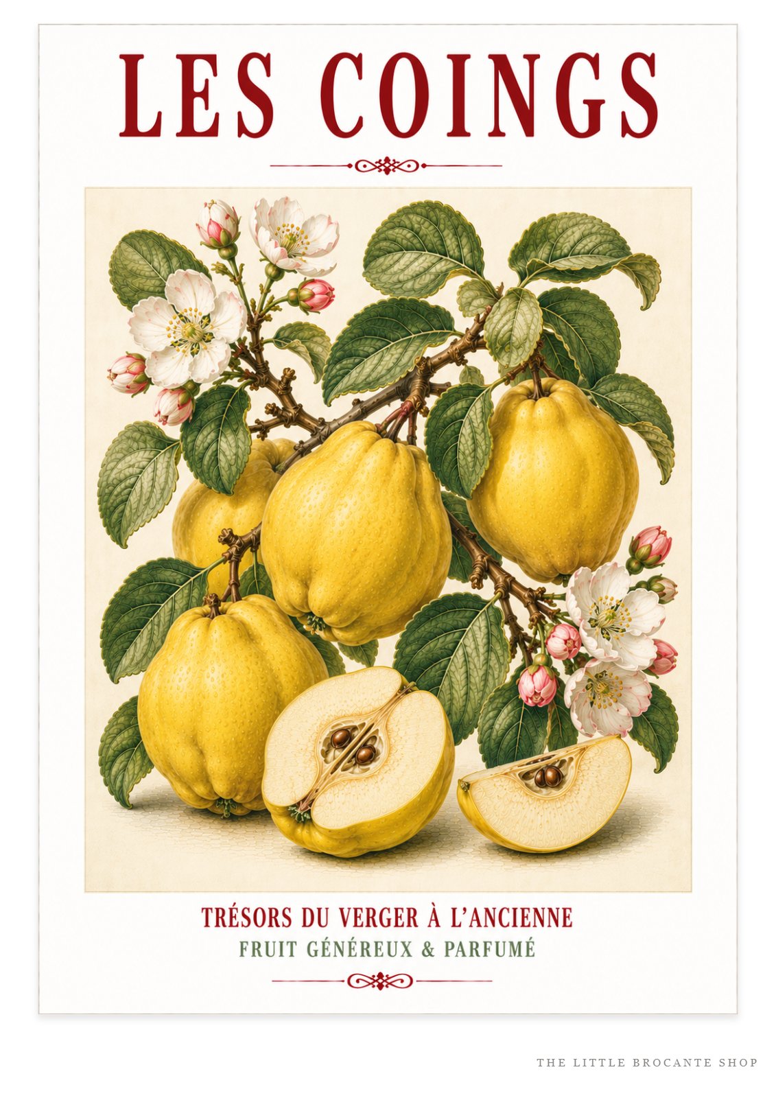 Illustrated French Quince Print - Led Coigns | French Kitchen Wall Art, Illustrated French, Botanical, French Country, Orchard Illustration, Fruit Illustration, Country Kitchen, French Countryside, Cottage Style, Botanical Wall Art wall artwork.