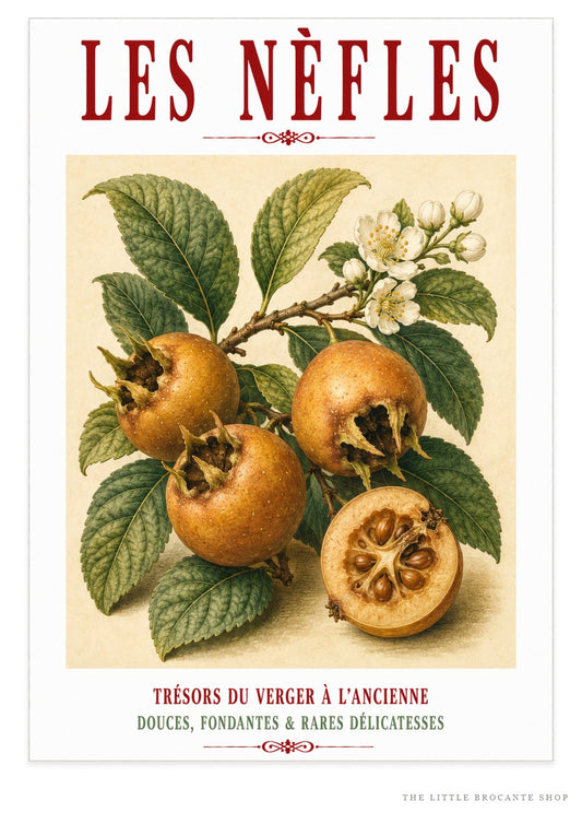 Illustrated French Medlar Print | French Kitchen Wall Art, Illustrated French, Botanical, French Country, Heritage Fruit, Orchard Inspired, French Kitchen, Country Kitchen, Cottage Style, Traditional Botanical, Rustic Wall Art wall artwork.