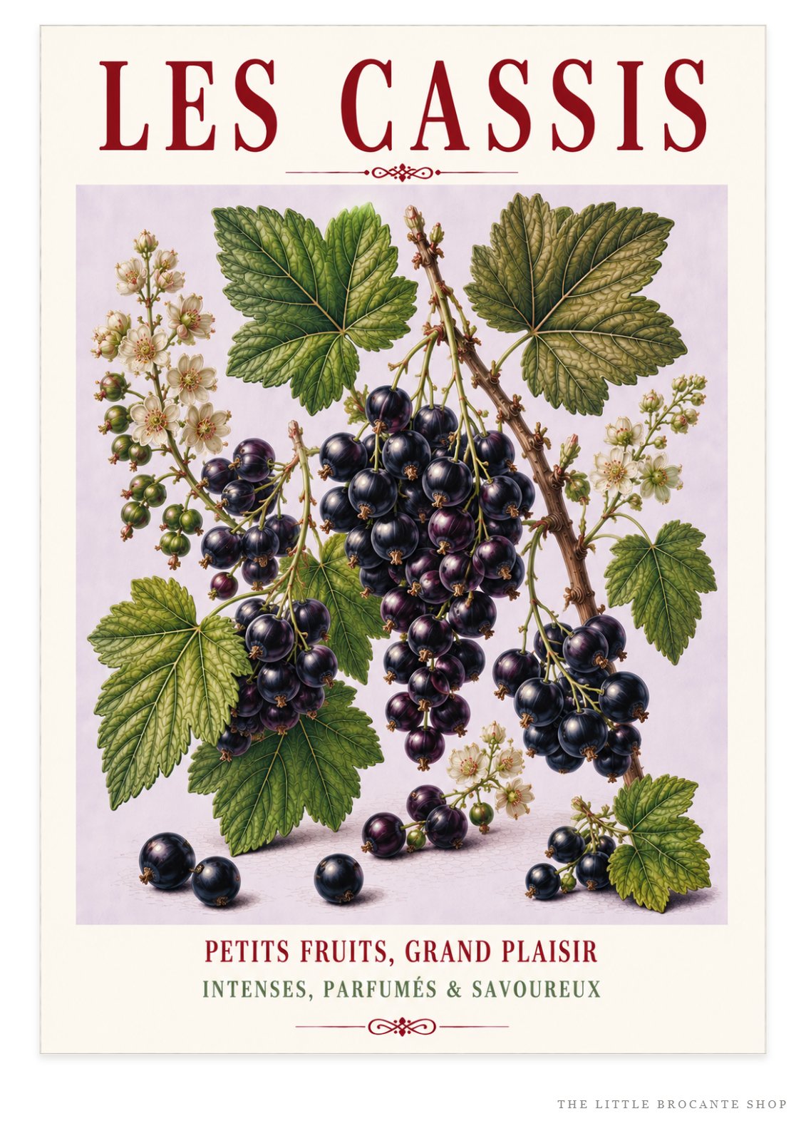 Illustrated French Blackcurrant Print - Les Cassis | French Kitchen Wall Art, Illustrated French, Botanical, French Country, Berry Illustration, Fruit Illustration, Country Kitchen, French Countryside, Cottage Style, Botanical Wall Art wall artwork.