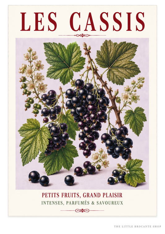 Illustrated French Blackcurrant Print - Les Cassis | French Kitchen Wall Art, Illustrated French, Botanical, French Country, Berry Illustration, Fruit Illustration, Country Kitchen, French Countryside, Cottage Style, Botanical Wall Art wall artwork.