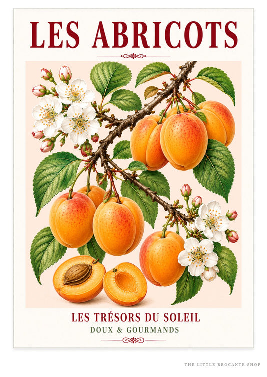 Les Abricots – Illustrated French Apricot Print | French Kitchen Wall Art, Illustrated French, Botanical, French Country, Fruit Illustration, Orchard Inspired, Country Kitchen, Cottage Style, Provence Inspired, Mediterranean Inspired wall artwork.