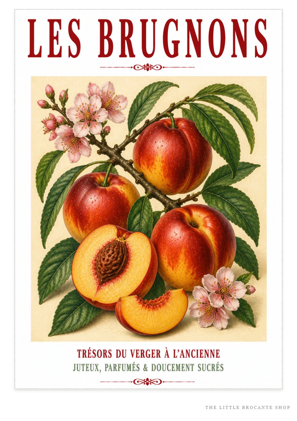 Illustrated French Nectarine Print | French Kitchen Wall Art, Illustrated French, Botanical, French Country, Orchard Style, Traditional Botanical Illustration, French Kitchen, Country Kitchen, Cottage Style, Pomological Art wall artwork.
