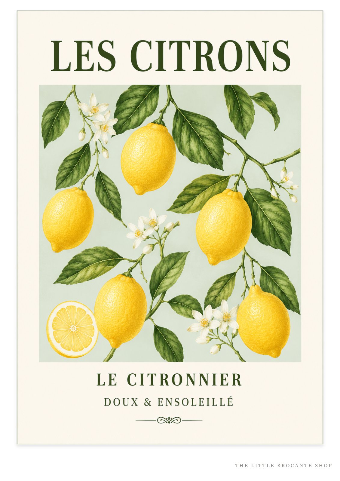 Les Citrons – Illustrated French Lemon Print | French Kitchen Wall Art, Illustrated French, Botanical, French Country, Country Kitchen, Mediterranean, Fruit Illustration, Cottage Style wall artwork.