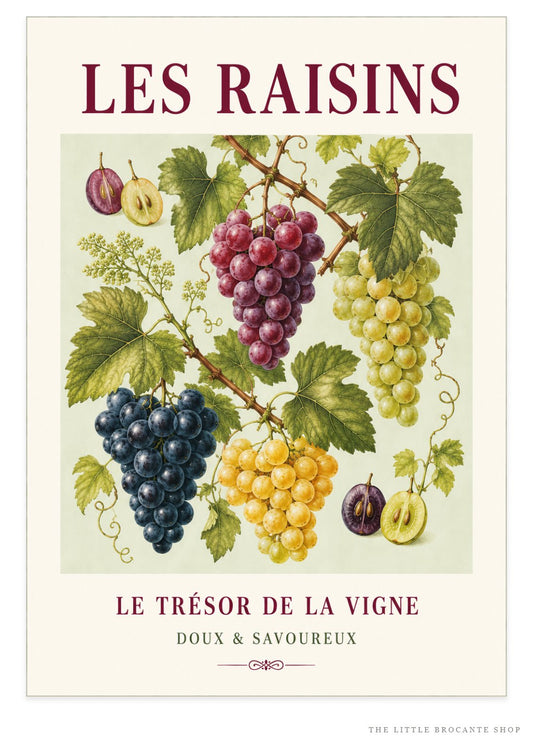 Les Raisins – Illustrated French Grape Print | French Kitchen Wall Art, Illustrated French, Botanical, French Country, Vineyard Inspired, Fruit Illustration, Country Kitchen, European Kitchen, Rustic Country wall artwork.