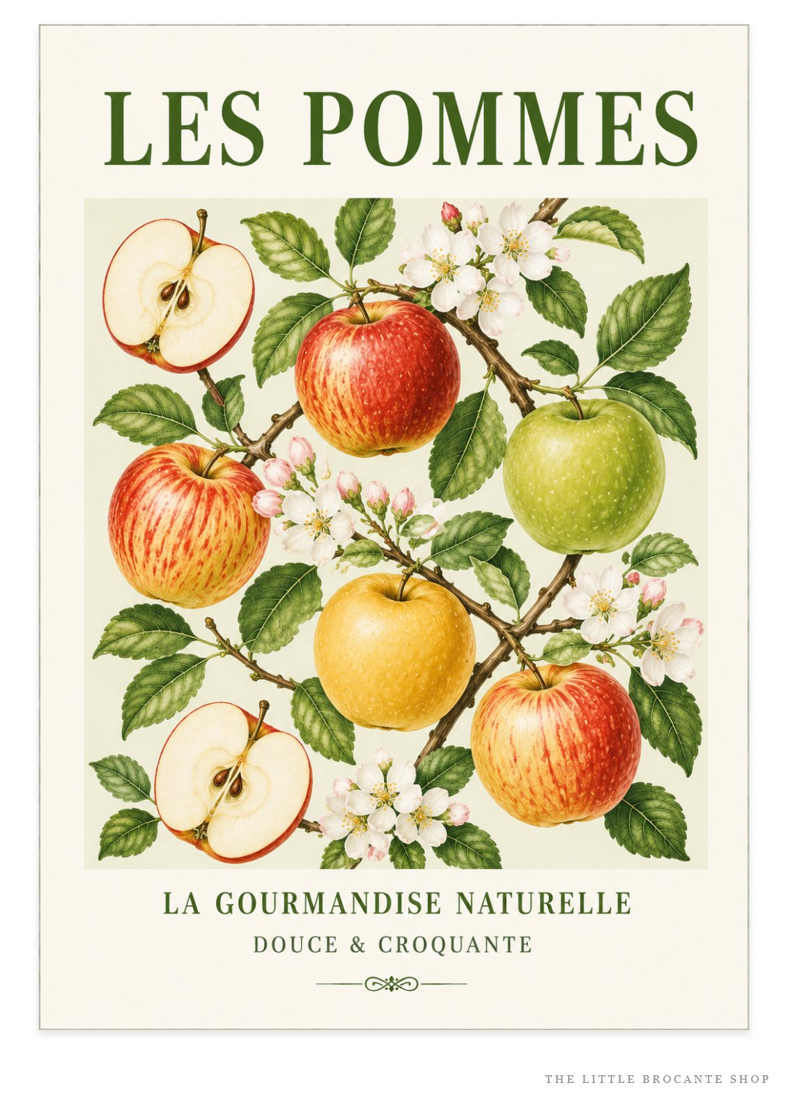 French Apples Illustrated Print - Les Pommes | French Kitchen Wall Art  Unframed Art Print