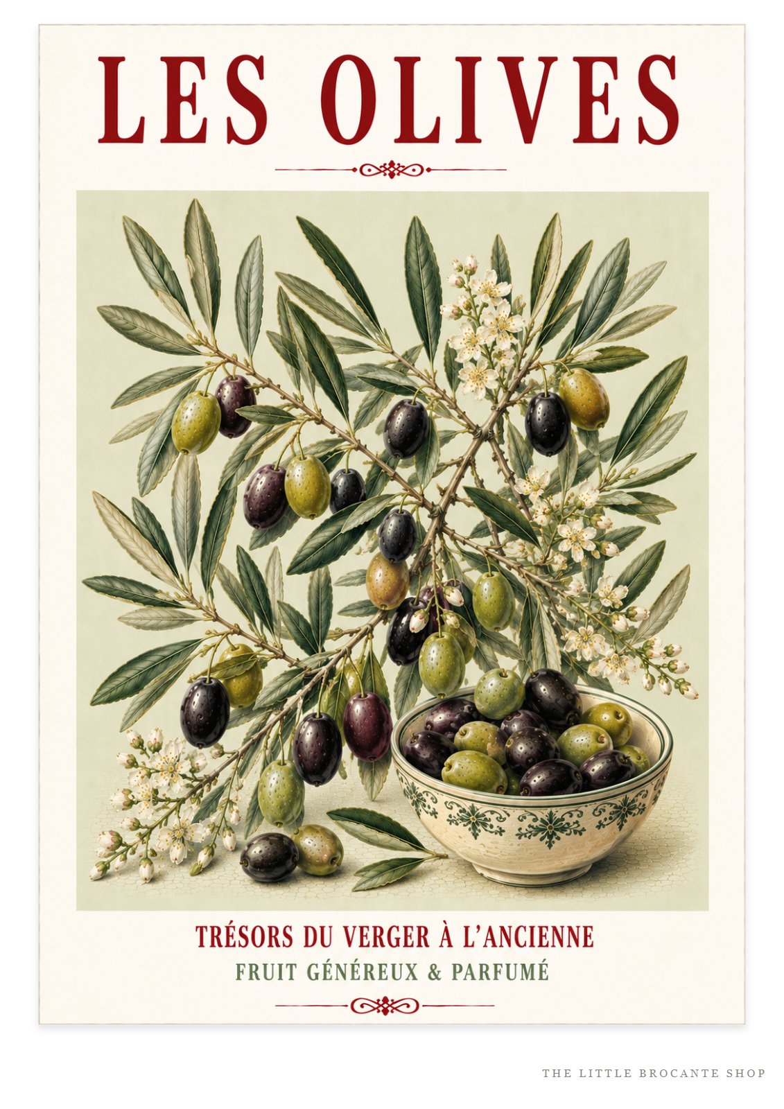 Illustrated French Olive Print | Mediterranean Kitchen Wall Art, Illustrated French, Botanical, French Country, Provençal, Mediterranean, Olive Grove, French Kitchen, Country Kitchen, Rustic European, Botanical Wall Art wall artwork.