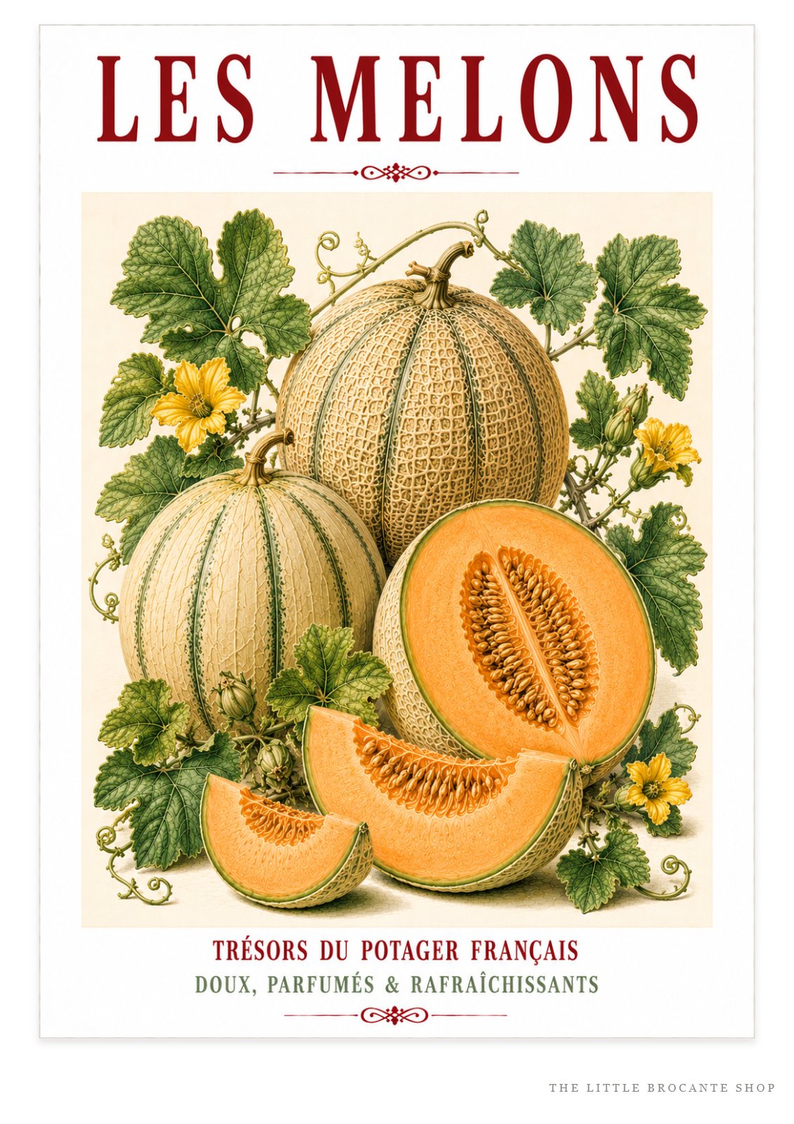 Illustrated French Melon Print | French Kitchen Wall Art, Illustrated French, Botanical, French Country, Provençal, Fruit Illustration, Kitchen Garden, French Kitchen, Mediterranean, Country Kitchen, Botanical Wall Art wall artwork.