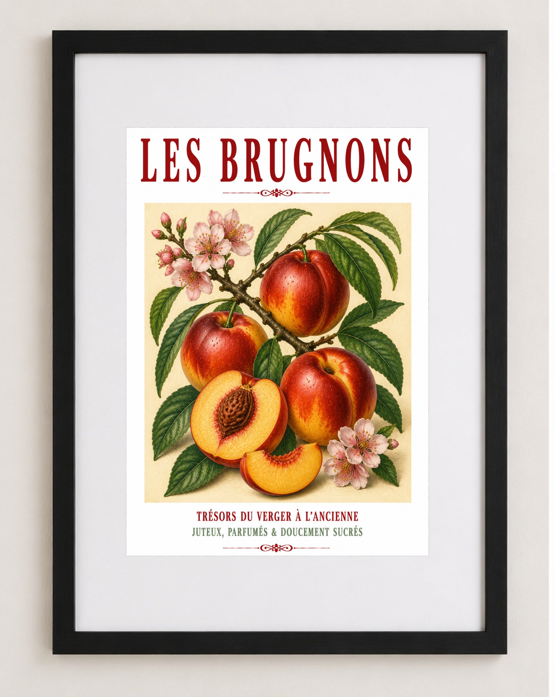 Illustrated French Nectarine Print | French Kitchen Wall Art, Illustrated French, Botanical, French Country, Orchard Style, Traditional Botanical Illustration, French Kitchen, Country Kitchen, Cottage Style, Pomological Art wall artwork.