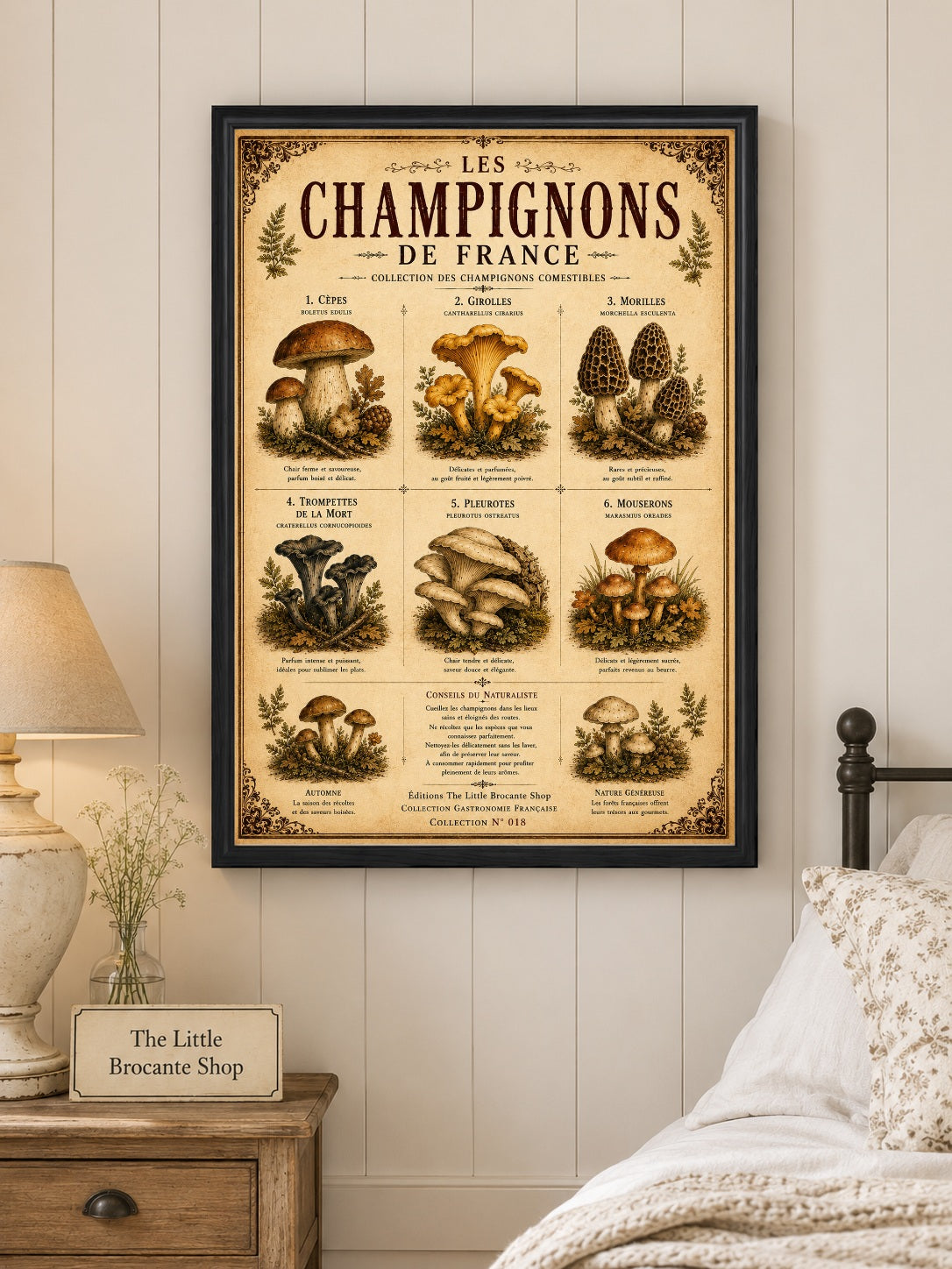 Les Champignons de France | Vintage French Mushroom Collection | Rustic Kitchen Wall Art, French country wall artwork. – image 3