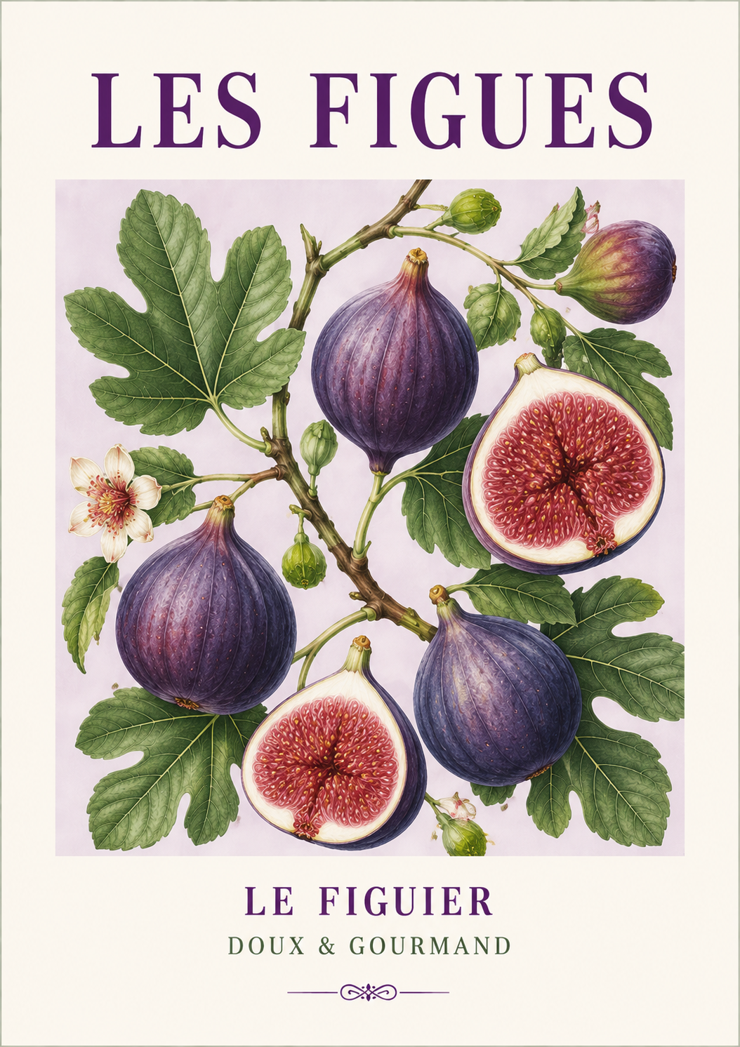 Les Figues – Illustrated French Fig Print | French Kitchen Wall Art, Illustrated French, Botanical, French Country, Mediterranean, Provençal, Fruit Illustration, Country Kitchen, Cottage Style wall artwork.
