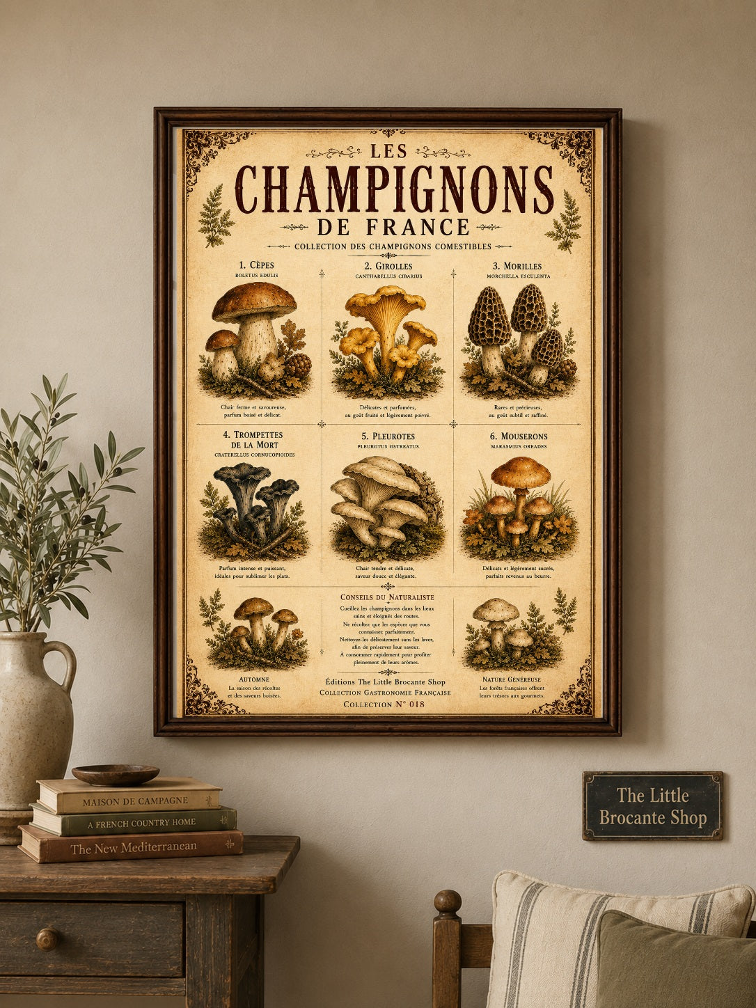 Les Champignons de France | Vintage French Mushroom Collection | Rustic Kitchen Wall Art, French country wall artwork. – image 4