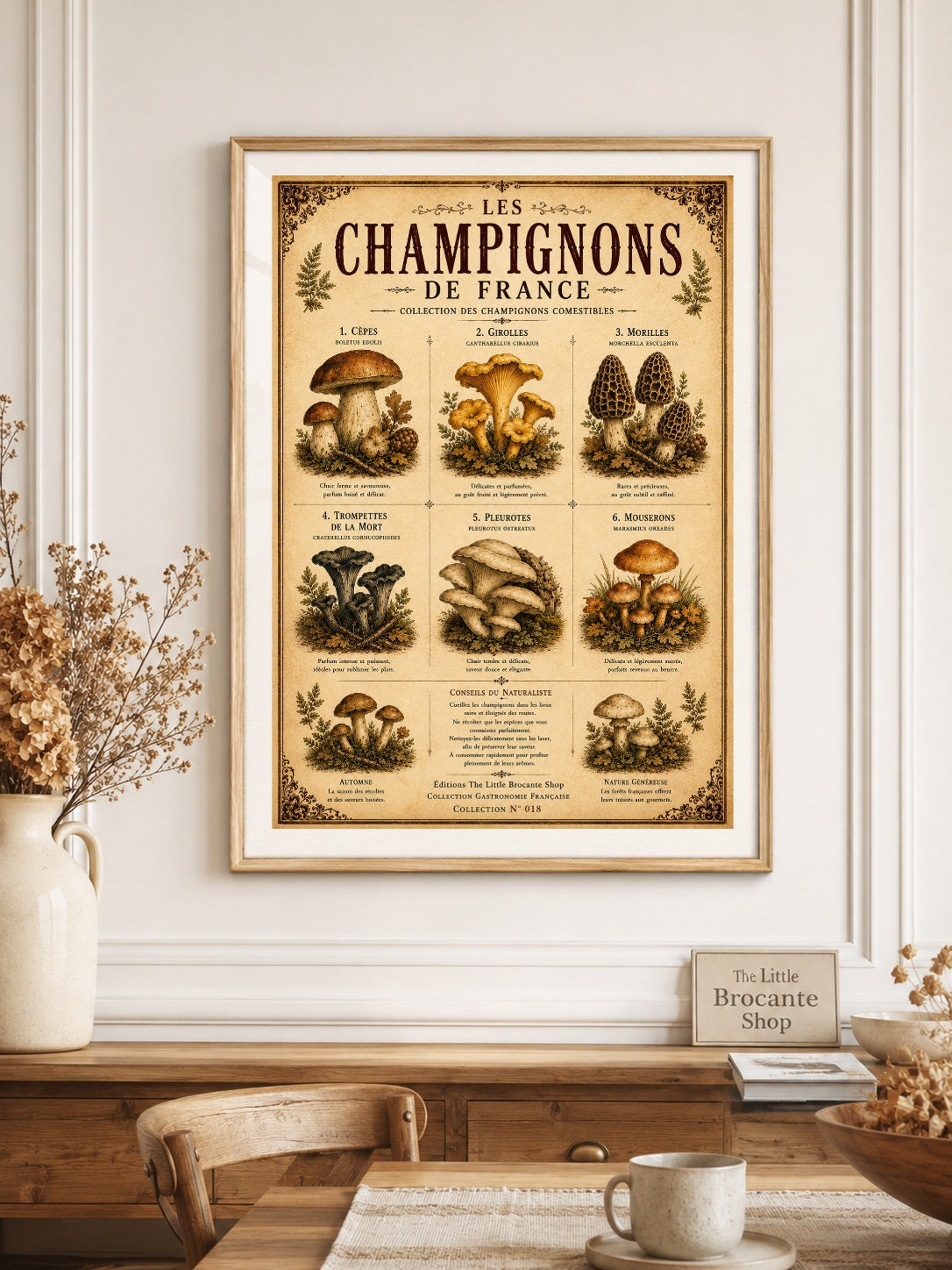 Les Champignons de France | Vintage French Mushroom Collection | Rustic Kitchen Wall Art, French country wall artwork. – image 5