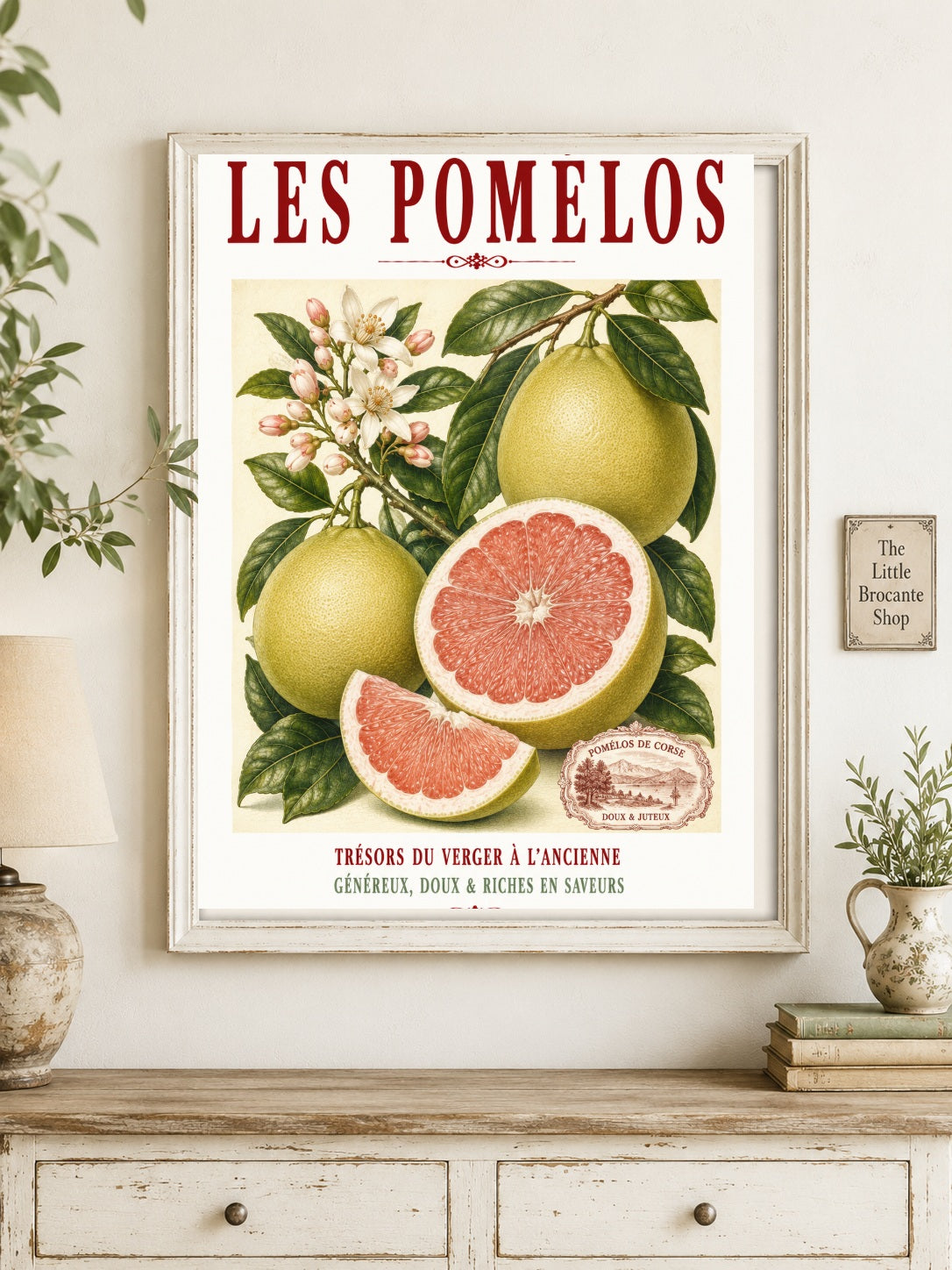 Illustrated French Pomelo Print | French Kitchen Wall Art, Illustrated French, Botanical, French Mediterranean, French Country, Citrus Art, Traditional Botanical Illustration, French Kitchen, Country Kitchen, Mediterranean Style, Pomological Illustration wall artwork.