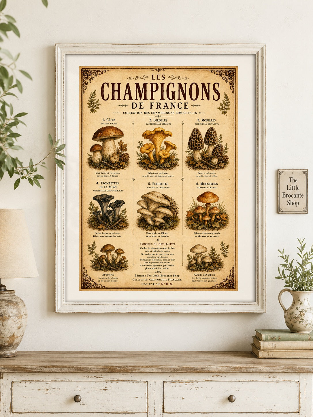 Les Champignons de France | Vintage French Mushroom Collection | Rustic Kitchen Wall Art, French country wall artwork. – image 6