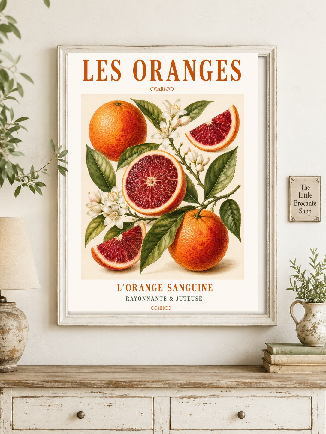 L’Orange Sanguine – Illustrated French Blood Orange Print | French Kitchen Wall Art, Illustrated French, Botanical, French Country, Mediterranean, Country Kitchen, Fruit Illustration, European Kitchen wall artwork.