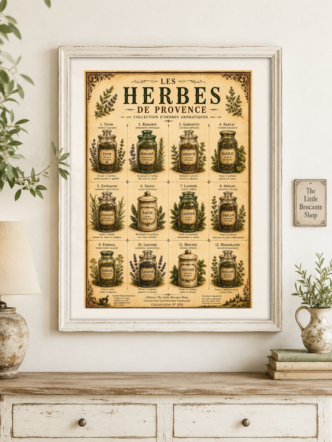 Les Herbes de Provence | Vintage French Herb Collection | Botanical Kitchen Wall Art, French country wall artwork. – image 6