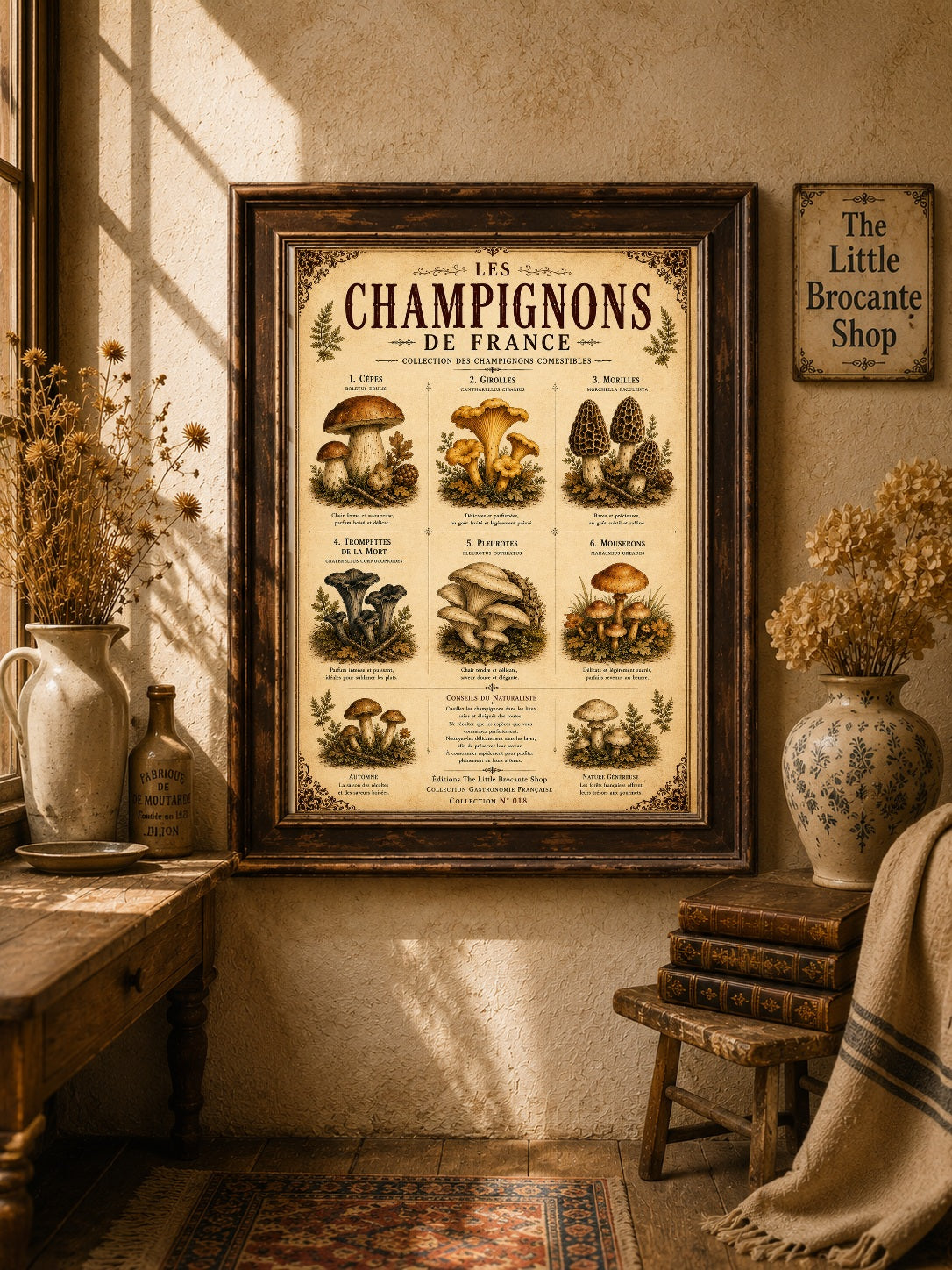 Les Champignons de France | Vintage French Mushroom Collection | Rustic Kitchen Wall Art, French country wall artwork. – image 7