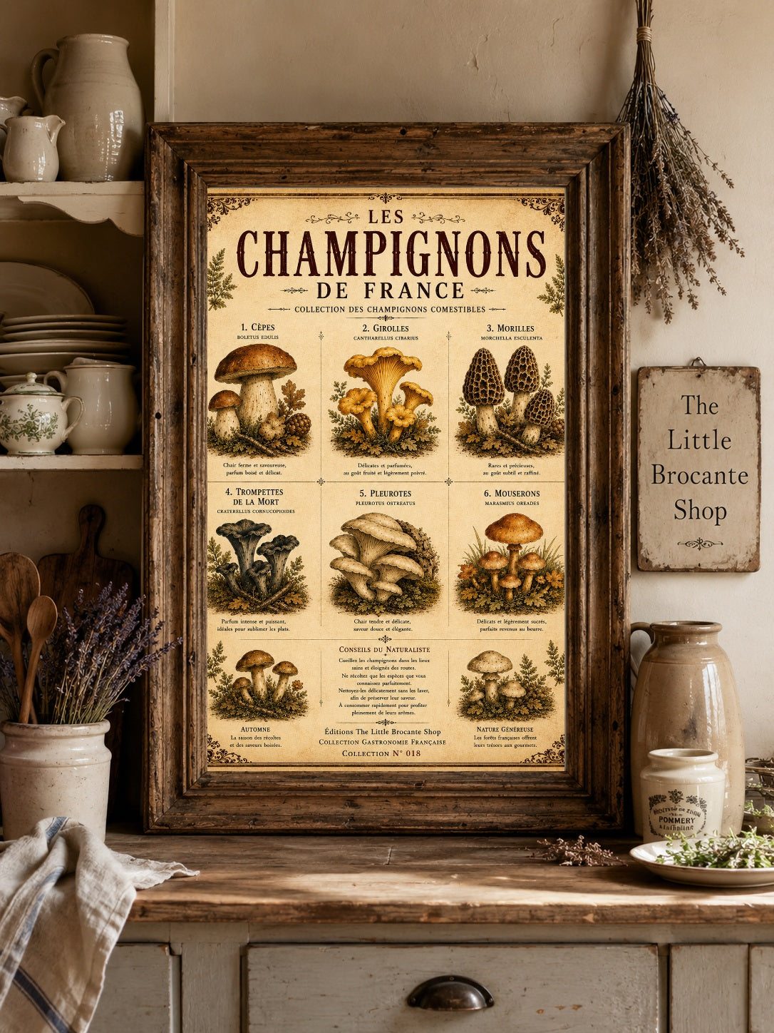 Les Champignons de France | Vintage French Mushroom Collection | Rustic Kitchen Wall Art, French country wall artwork. – image 8