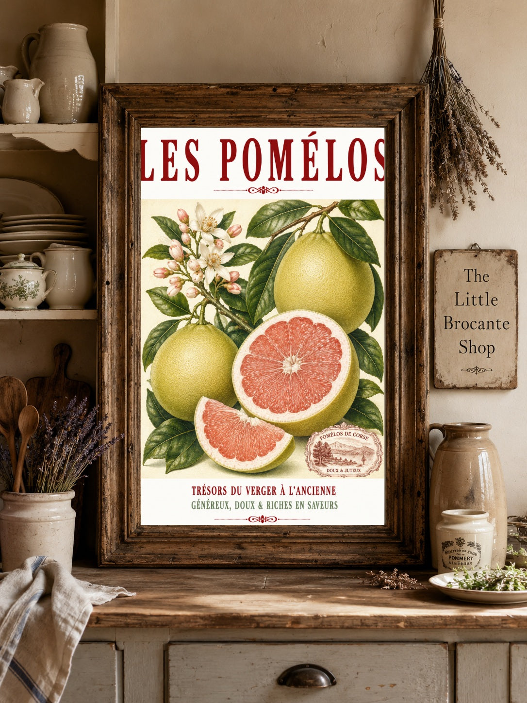 Illustrated French Pomelo Print | French Kitchen Wall Art, Illustrated French, Botanical, French Mediterranean, French Country, Citrus Art, Traditional Botanical Illustration, French Kitchen, Country Kitchen, Mediterranean Style, Pomological Illustration wall artwork.