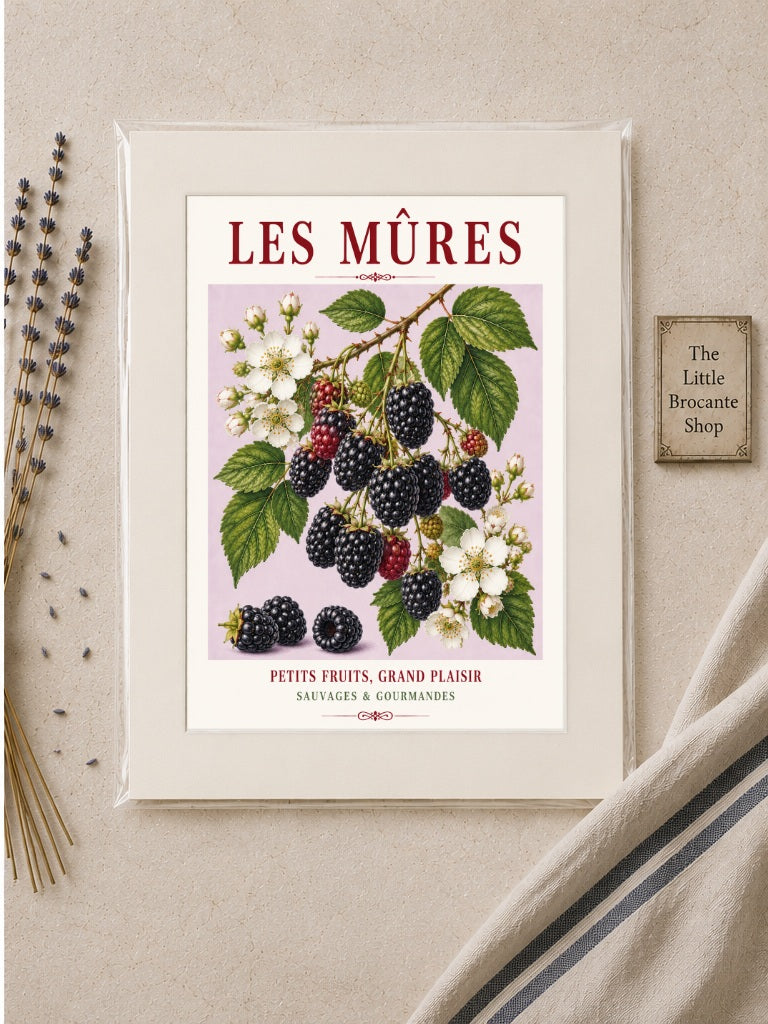 Les Mûres – Illustrated French Blackberry Print | French Kitchen Wall Art, Illustrated French, Botanical, French Country, Fruit Illustration, Hedgerow Inspired, Country Kitchen, Cottage Style, French Countryside wall artwork.