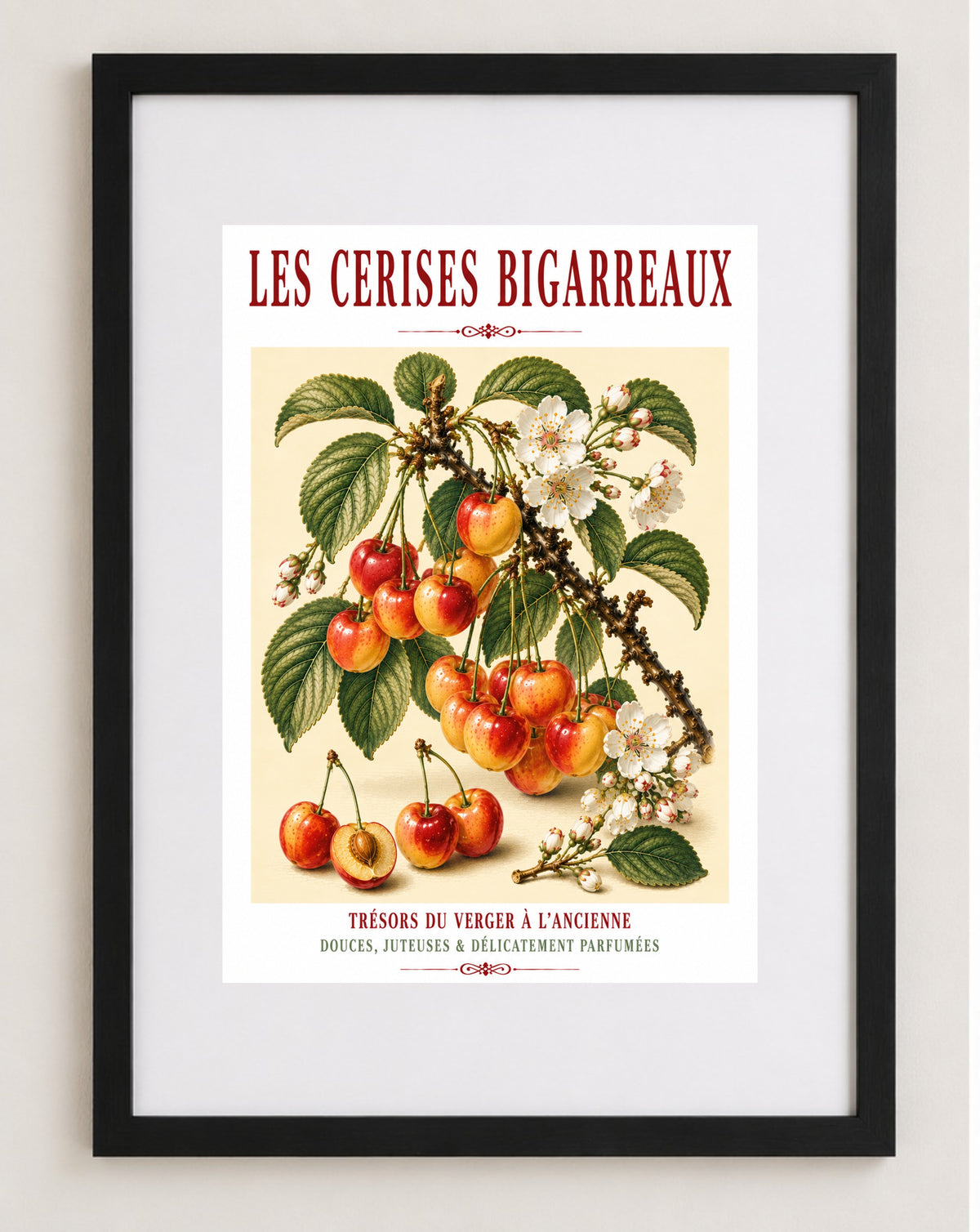 Les Cerises Bigarreaux – Illustrated French Cherry Print | French Kitchen Wall Art, Illustrated French, Botanical, French Country, Orchard Art, Fruit Illustration, French Kitchen, Country Kitchen, French Provincial, Botanical Wall Art wall artwork.
