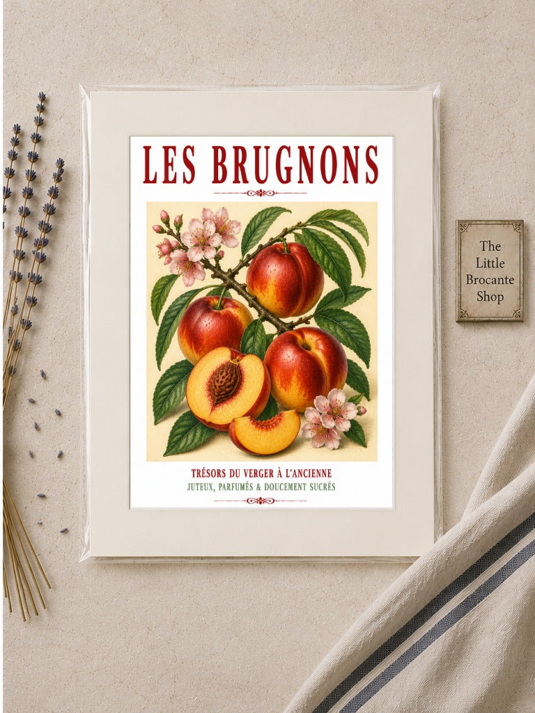 Illustrated French Nectarine Print | French Kitchen Wall Art, Illustrated French, Botanical, French Country, Orchard Style, Traditional Botanical Illustration, French Kitchen, Country Kitchen, Cottage Style, Pomological Art wall artwork.