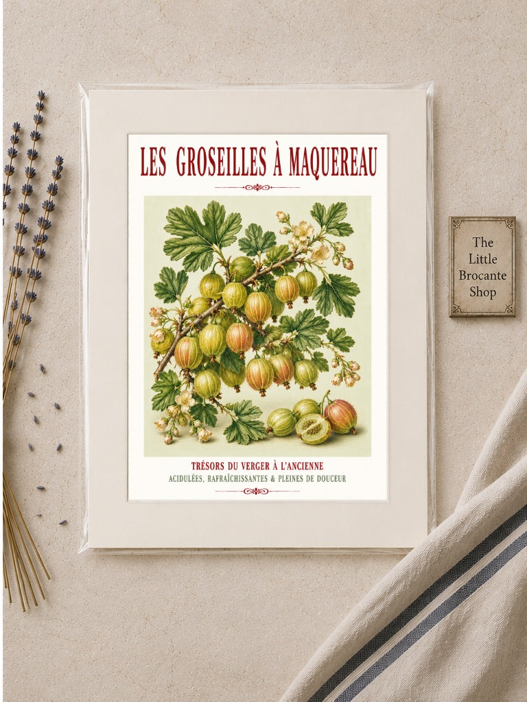Illustrated French Gooseberry Print | French Kitchen Wall Art, Illustrated French, Botanical, French Country, Kitchen Garden, Fruit Illustration, French Kitchen, Country Kitchen, Cottage Garden, Botanical Wall Art wall artwork.