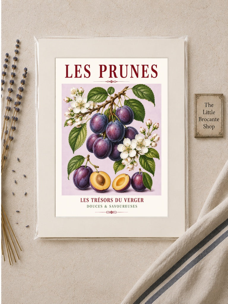 Illustrated French Plum Print - Les Prunes | French Kitchen Wall Art, Illustrated French, Botanical, French Country, Fruit Illustration, Orchard Inspired, Country Kitchen, Cottage Style, French Inspired wall artwork.