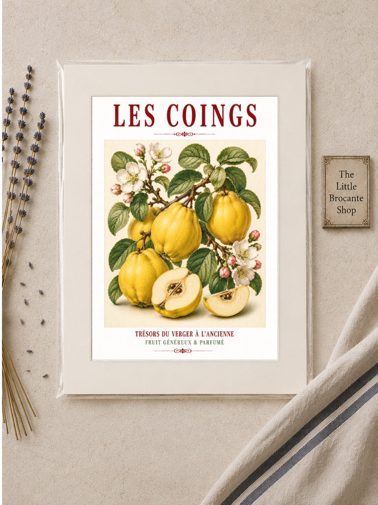 Illustrated French Quince Print - Led Coigns | French Kitchen Wall Art, Illustrated French, Botanical, French Country, Orchard Illustration, Fruit Illustration, Country Kitchen, French Countryside, Cottage Style, Botanical Wall Art wall artwork.
