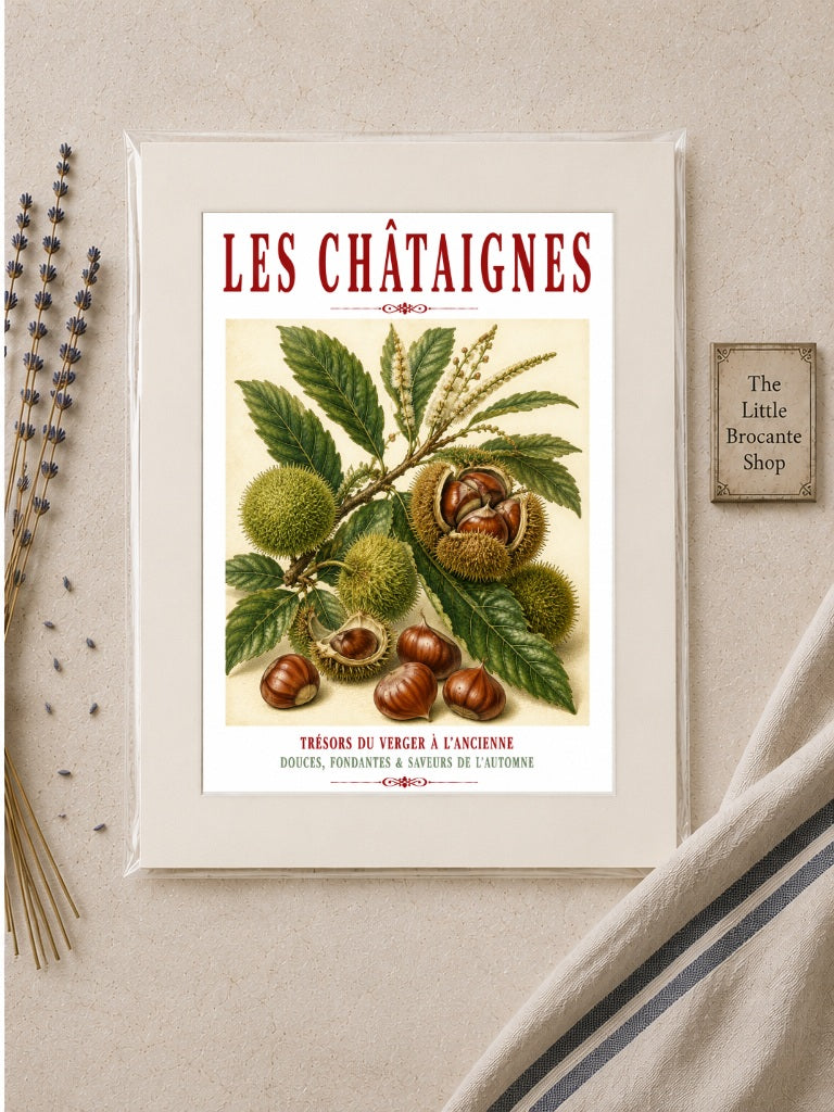 Illustrated French Chestnut Print | French Kitchen Wall Art, Illustrated French, Botanical, French Country, Rustic, Autumnal, Woodland Botanical, Traditional Botanical Illustration, French Kitchen, Country Kitchen, Cottage Style wall artwork.