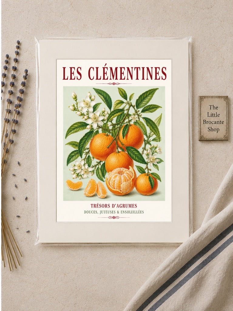 Illustrated French Clementine Print | French Kitchen Wall Art, Illustrated French, Botanical, Mediterranean, French Country, Citrus Illustration, Fruit Illustration, Country Kitchen, French Countryside, Botanical Wall Art wall artwork.
