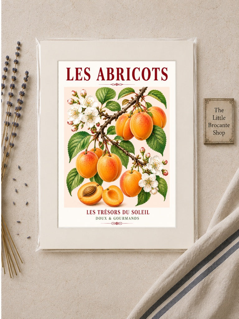 Les Abricots – Illustrated French Apricot Print | French Kitchen Wall Art, Illustrated French, Botanical, French Country, Fruit Illustration, Orchard Inspired, Country Kitchen, Cottage Style, Provence Inspired, Mediterranean Inspired wall artwork.