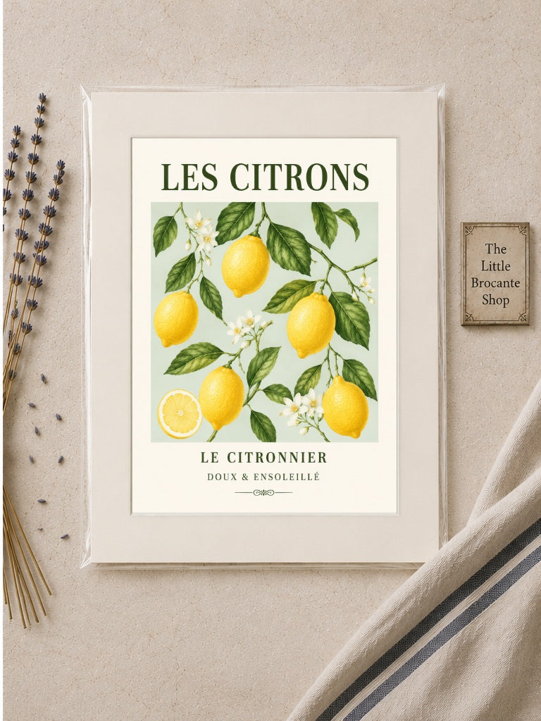 Les Citrons – Illustrated French Lemon Print | French Kitchen Wall Art, Illustrated French, Botanical, French Country, Country Kitchen, Mediterranean, Fruit Illustration, Cottage Style wall artwork.