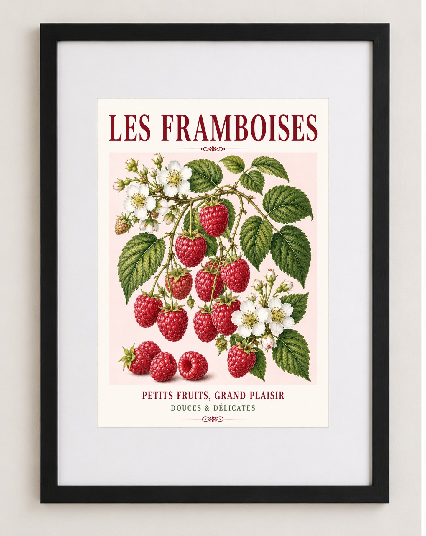 Les Framboises – Illustrated French Raspberry Print | French Kitchen Wall Art, Illustrated French, Botanical, French Country, Fruit Illustration, Kitchen Garden, Country Kitchen, Cottage Style, French Inspired wall artwork.